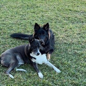 Meet your Posher, Diane